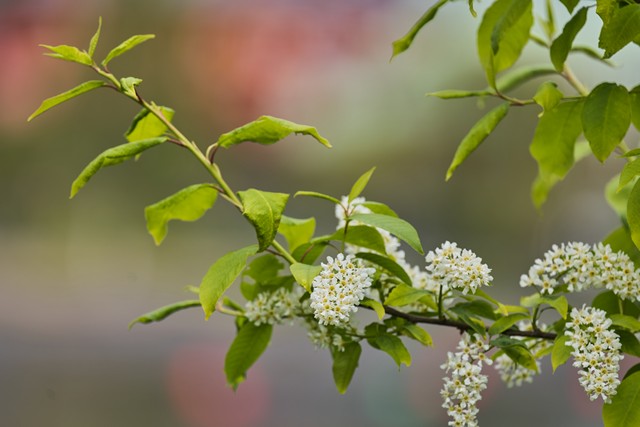 Sony A7R VI_30w.jpg