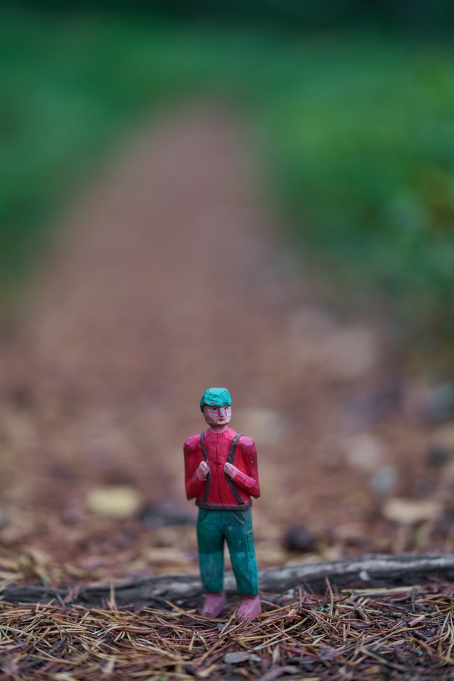Sigma 85mm f1.2_2w.jpg