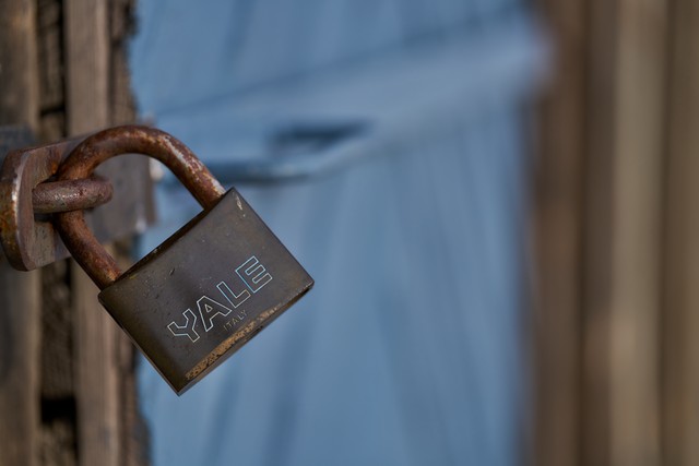 Sony 100mm f2.8 Macro_5w.jpg