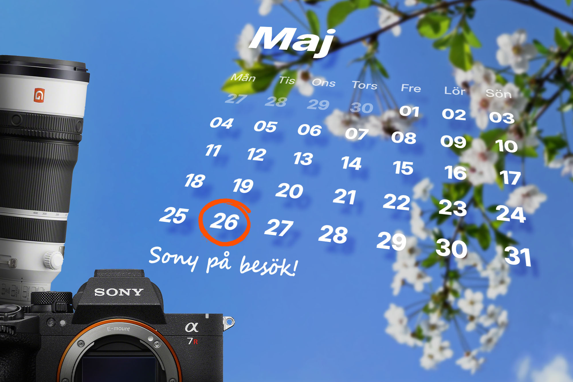 SonydagSommar2026_blogg_2.jpg