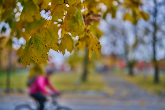 Sigma 35mm f1.2 II_23w.jpg