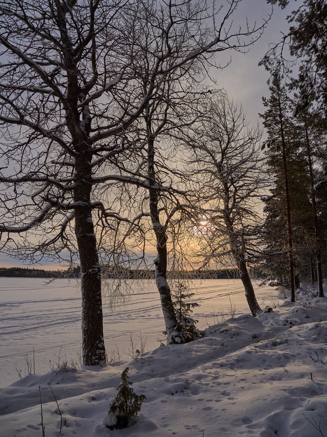 OM System OM 5 II_21w.jpg