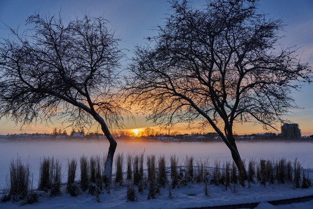 Nikon Z 24-105 f4-7.1_14w.jpg