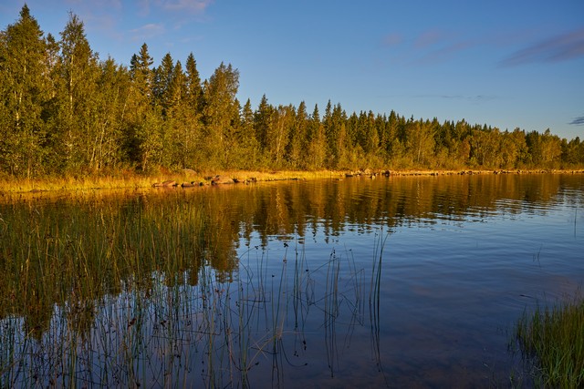 Viltrox 15mm f1.7_8w.jpg