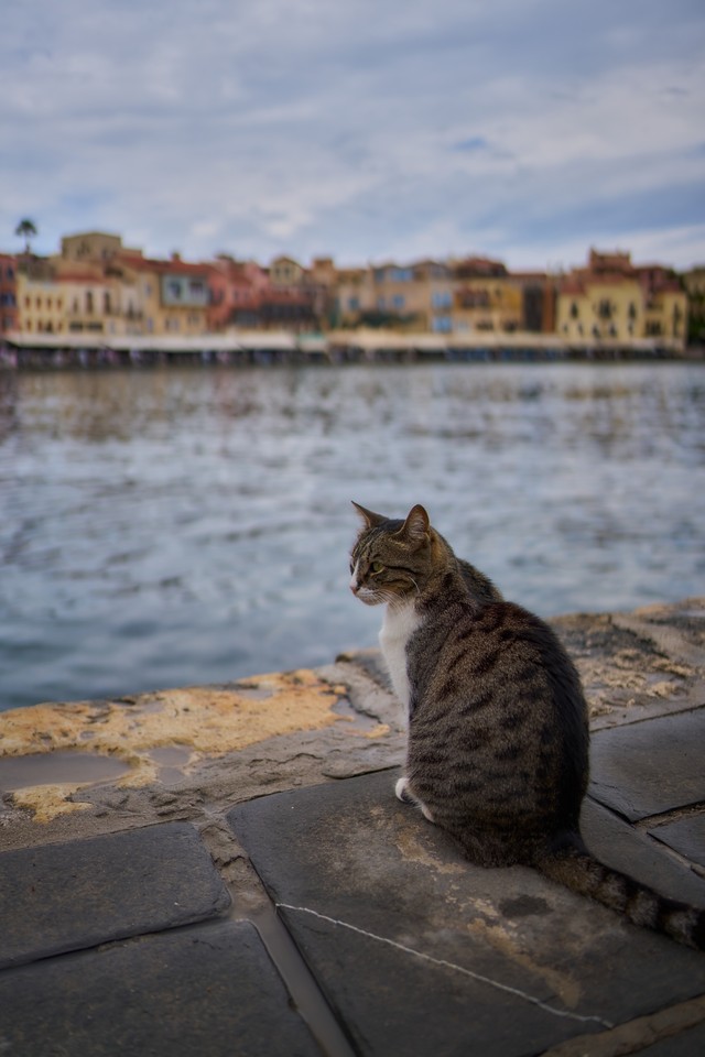 Voigtländer 28mm f1.5_2w.jpg