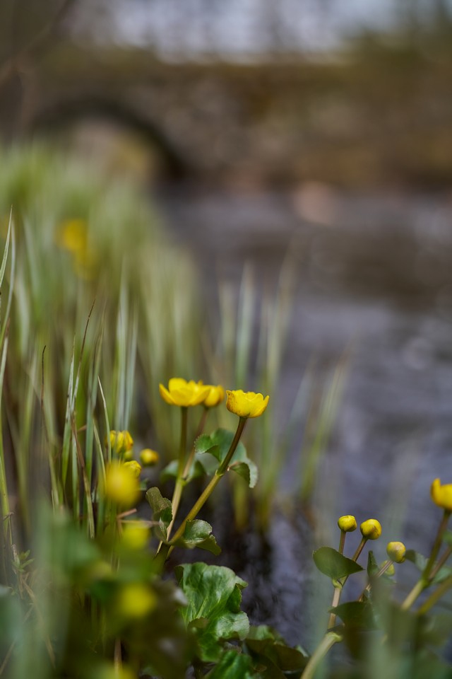Viltrox 35mm f1.2 LAB_3w.jpg