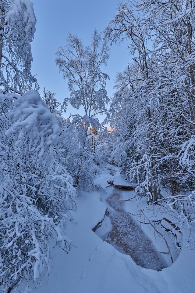 Canon RF 14mm f1.4L VCM_2w.jpg