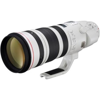 EF 200-400mm f/4 L IS USM Extender 1,4x