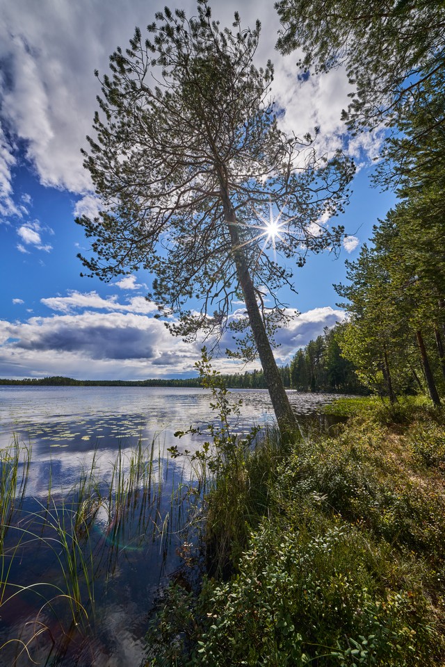 Laowa 12mm f2.8 Lite Zero-D FF_8w.jpg