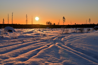 nikon d780_5.jpg
