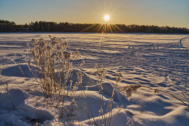 Laowa 28mm f1.2_6f16w.jpg