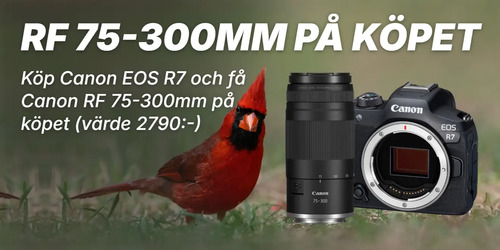 CanonR67_rf75300mm_front.webp
