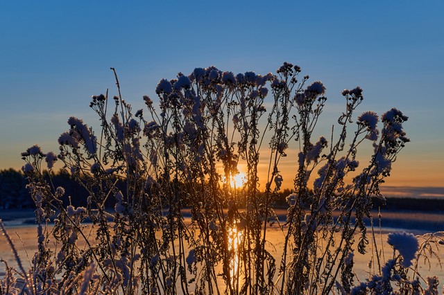 NikonZ DX 16-50mm f2.8_9w.jpg