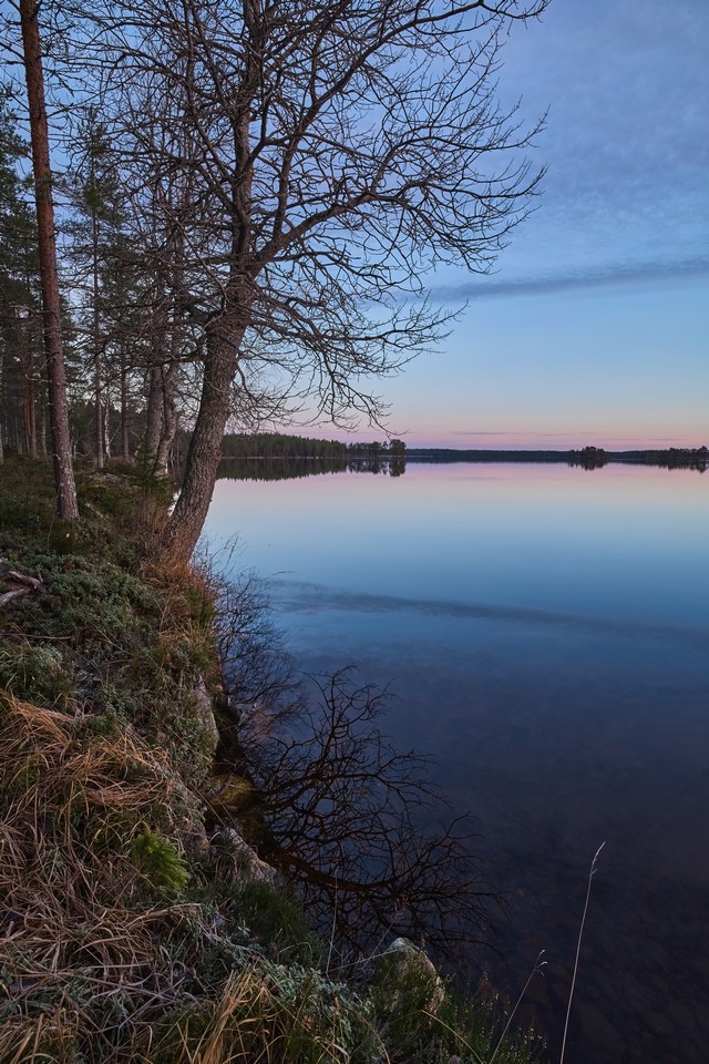 Canon EOS R6 Mark III_6w.jpg