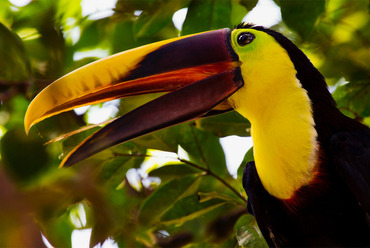 costarica_blogg1.jpg