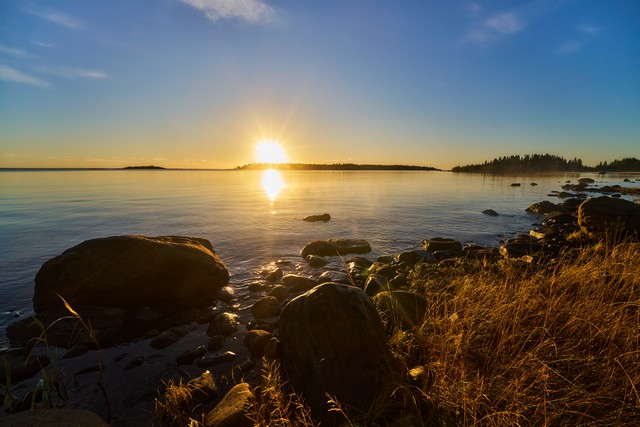 Viltrox 14mm f4_8w.jpg