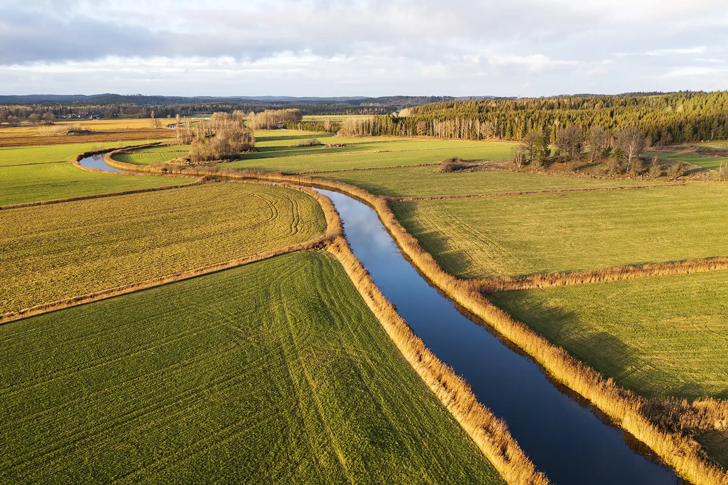 DJI_0987_blogg.webp