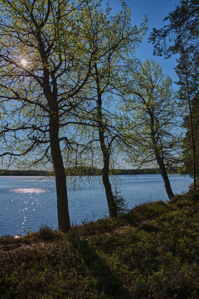 Fujifilm XF 16-50mm_1w.jpg