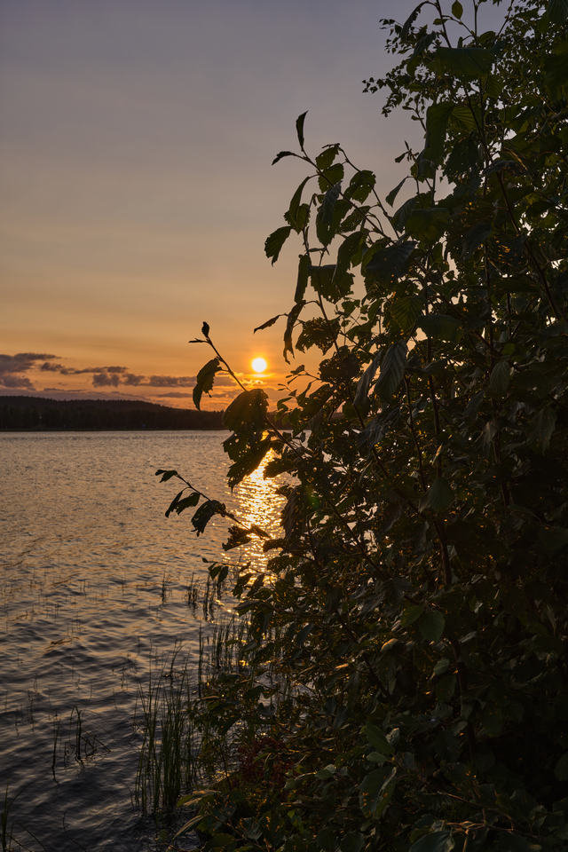 Sony RX1R III_180w.jpg