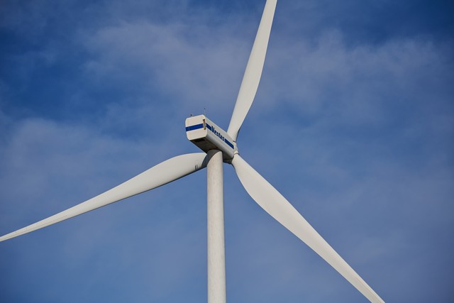 Nikon 70-200 f2.8 II_18w.jpg