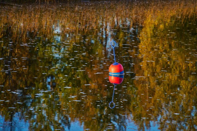 Sigma 20-200mm DG C_8w.jpg