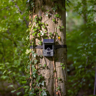 EZ-Solar Wildcamera