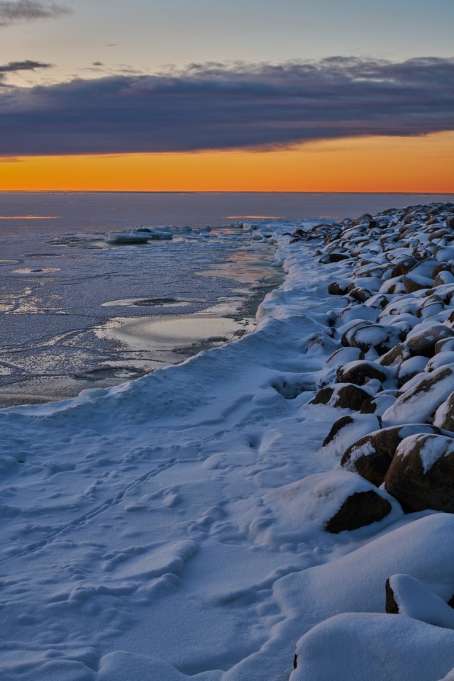 Viltrox 50mm f1.4 PRO_16w.jpg