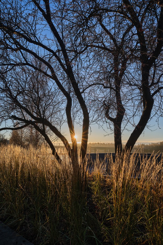 Fujifilm X-T30 III_22w.jpg