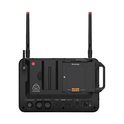 Shogun Connect, HDR videoinspelare & monitor med nätverksanslutning - 7"