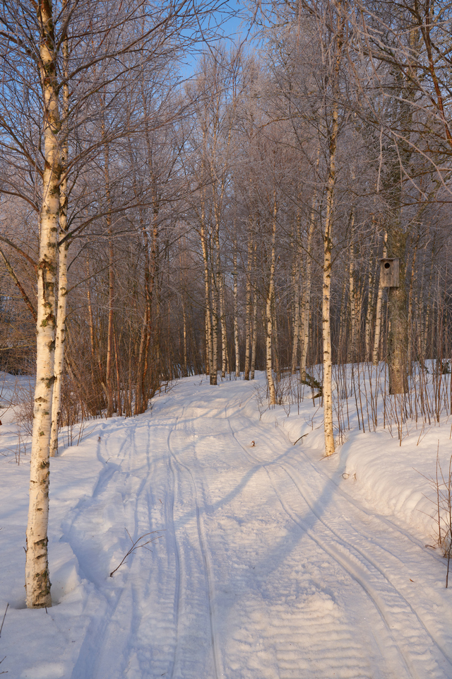 Samyang 24-70 f2.8_19w.jpg