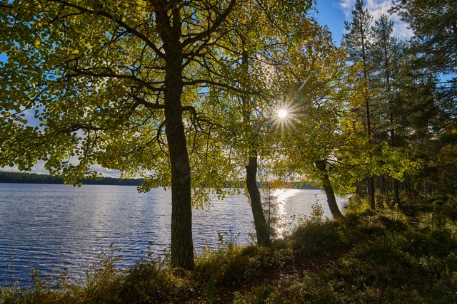 Sigma 20-200mm DG C_34w.jpg