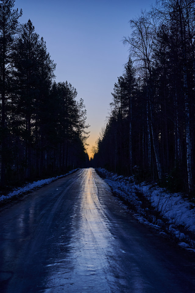 Nikon Z DX MC 35mm f1.7_23w.jpg