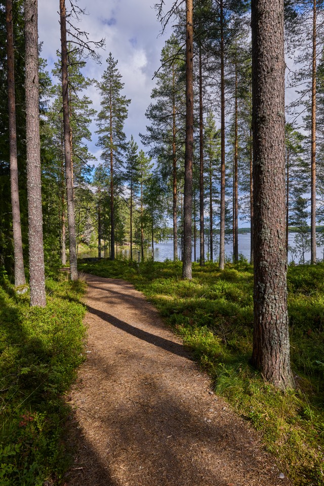 Canon RF 20mm f1.4 VCM_1w.jpg