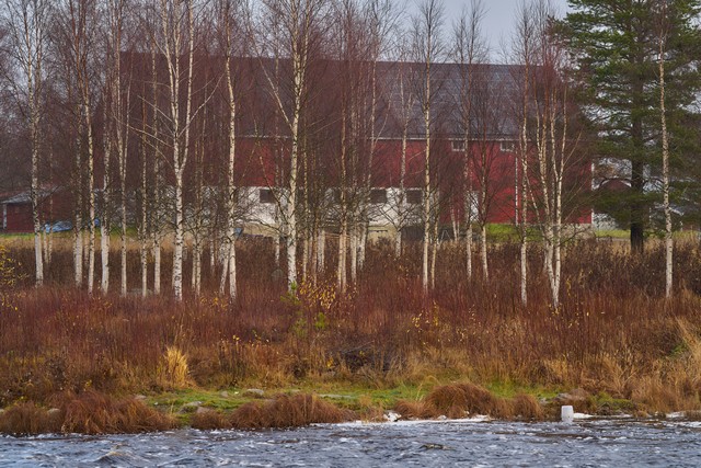 Sigma 135mm f1.4_28w.jpg