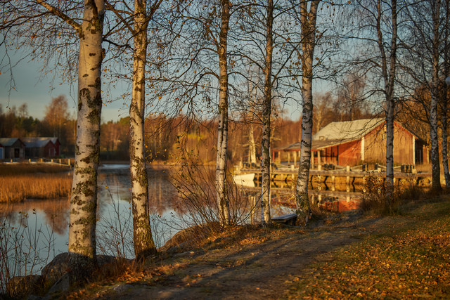 Viltrox 56mm f1.2_36w.jpg