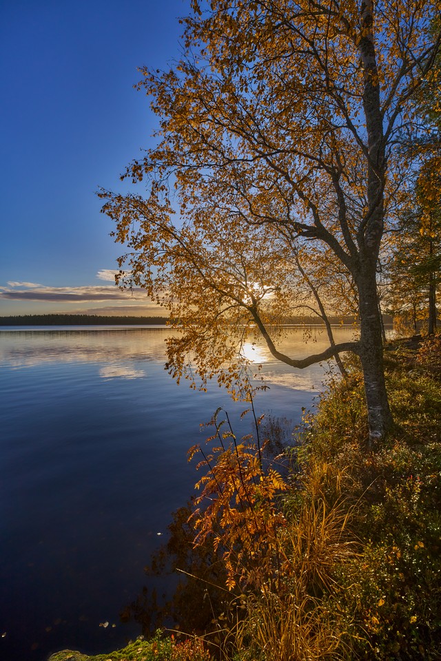 Viltrox 14mm f4_18w.jpg