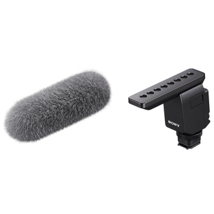 ECM-B1M, mikrofon