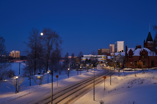 Nikon Z 24-105 f4-7.1_23w.jpg