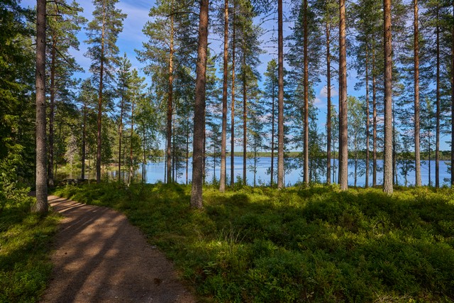 Tamron 16-30mm f2.8_1w.jpg