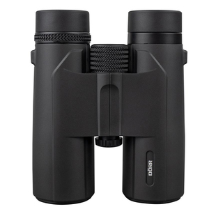 Scout 8x42