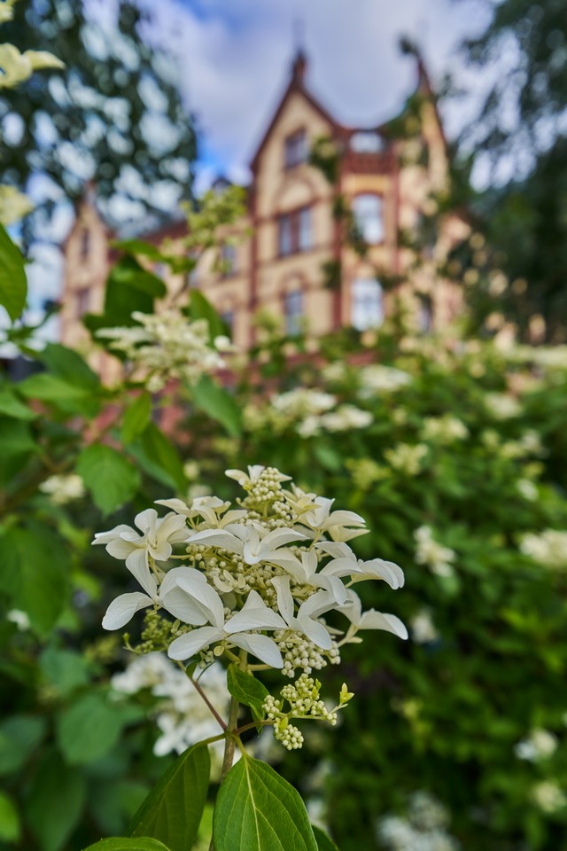 Tamron 16-30mm f2.8_27w.jpg