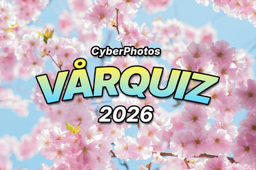 VårQuiz2026_blogg.jpg