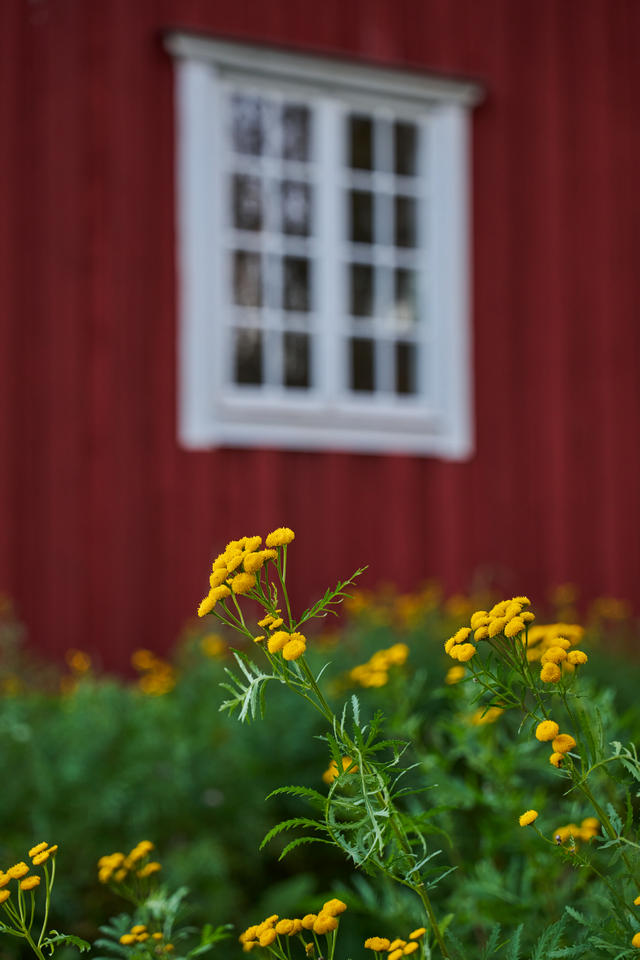 Sigma 20-60mm f2.8_4_36w.jpg
