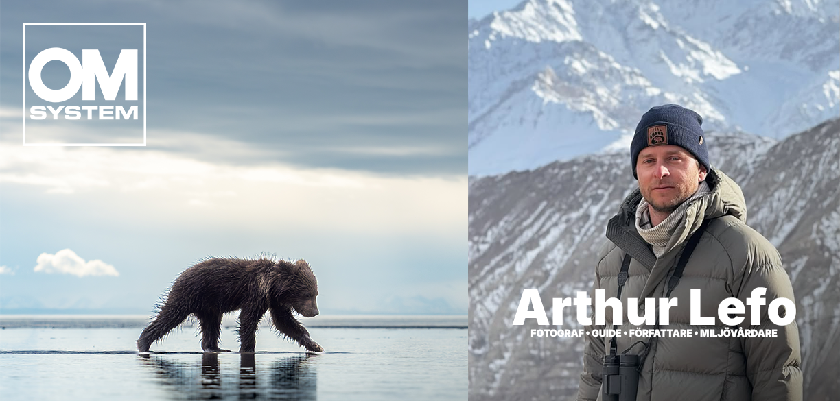 Fotograf Arthur Lefo, sida i sida med foto av en björn, och OM-SYSTEM logga