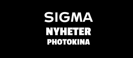 SIGMANEWS.png