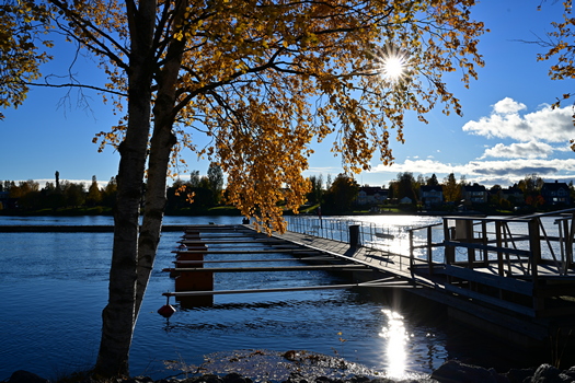 DSC_0183w.jpg