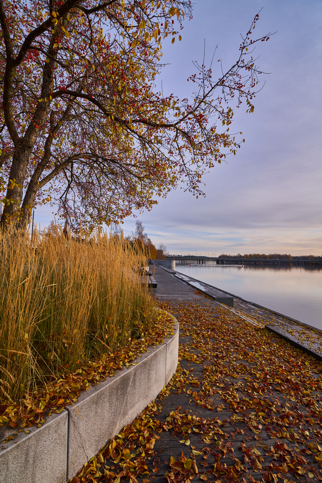 tokina_opera_16 28_4w.jpg
