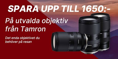 Tamorn_knapplös.jpg