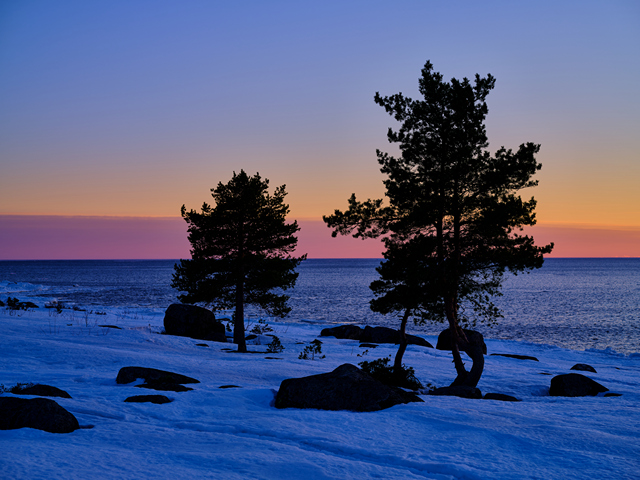 Fujifilm GFX100s_14w.jpg