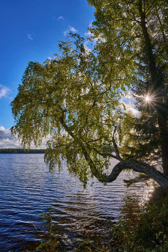 Sigma 20-200mm DG C_36w.jpg